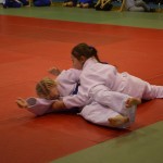 6ed1ea_05fbf7418d4d49fda3d15c7822ba8e9a