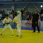 6ed1ea_104c7b1b6b6a4988955c604c3c2bd5b8