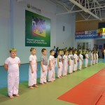 6ed1ea_1a766bb9685a421aae145a57571e1016