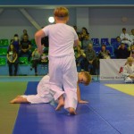 6ed1ea_2264b3fb124c495ea30dfc4398952ef4