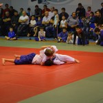 6ed1ea_318c870148764b47949b7156ad77269d