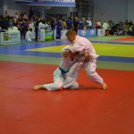 6ed1ea_3890774a9f59432ba355a71d5b2c80aa