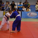 6ed1ea_4479978407f44bde912d562960ad6763