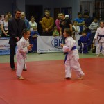 6ed1ea_495cede60a854d569befd235cb38b036