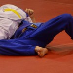 6ed1ea_4c4a6573e974440f9886472546a7d1dd