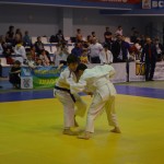 6ed1ea_5e3dd8d2e4de481197aa01ce46ce1677