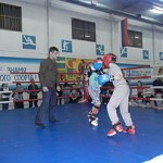 6ed1ea_640e9d8d528e4d65b5143ba2bb3c5188