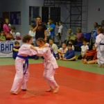 6ed1ea_64df15b297a34f1cad0db0b5cc365db5