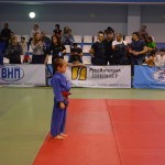 6ed1ea_67136b762ff44b8e91cbb29811d950b9