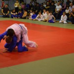 6ed1ea_673e20bd081d40bea0fd02fc30deea43