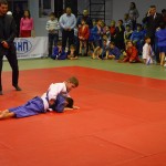 6ed1ea_68c128c227ca4edd8f55e1ef08bc4bf9