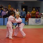 6ed1ea_864e51344c9f4fae8e13c5a8c343fc3d