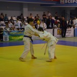 6ed1ea_990ca8bb0074432eaf7ebd70ede5c558