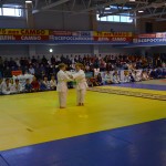 6ed1ea_a6fc4212a40349bcafe1cb0a7f3558bd