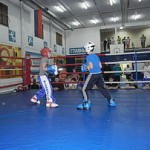 6ed1ea_cd5932b80d3c4757880209a57c91e353