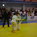 6ed1ea_e567b9233d87451fa79c1d184500b0f6