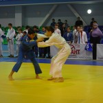 6ed1ea_ece04d9cc06a49569441bd41f3a736a9