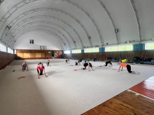 bc0a9d20-457b-4b23-bea7-c8cf957e0b52